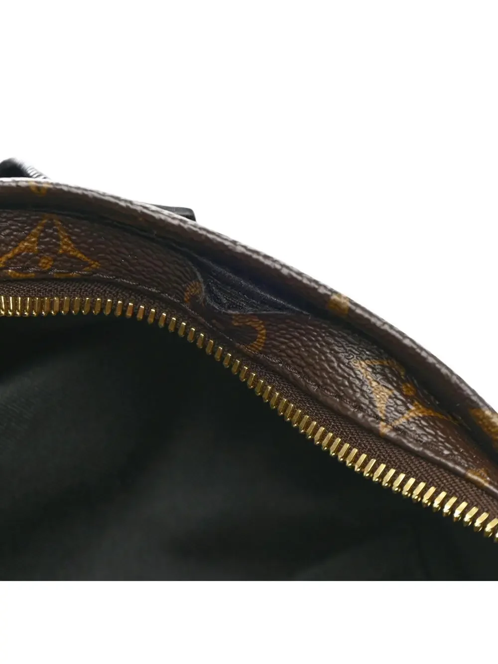 Louis Vuitton Reverse Palm Springs #322636L13B